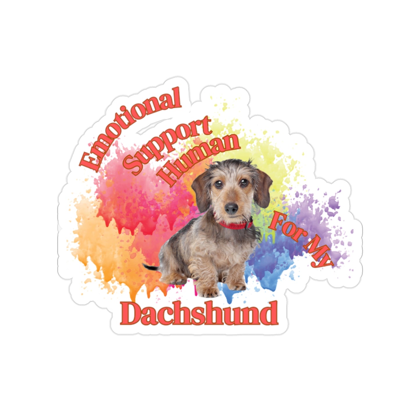Emotional Support Human for my Dachshund, Wire Haired, Sticker