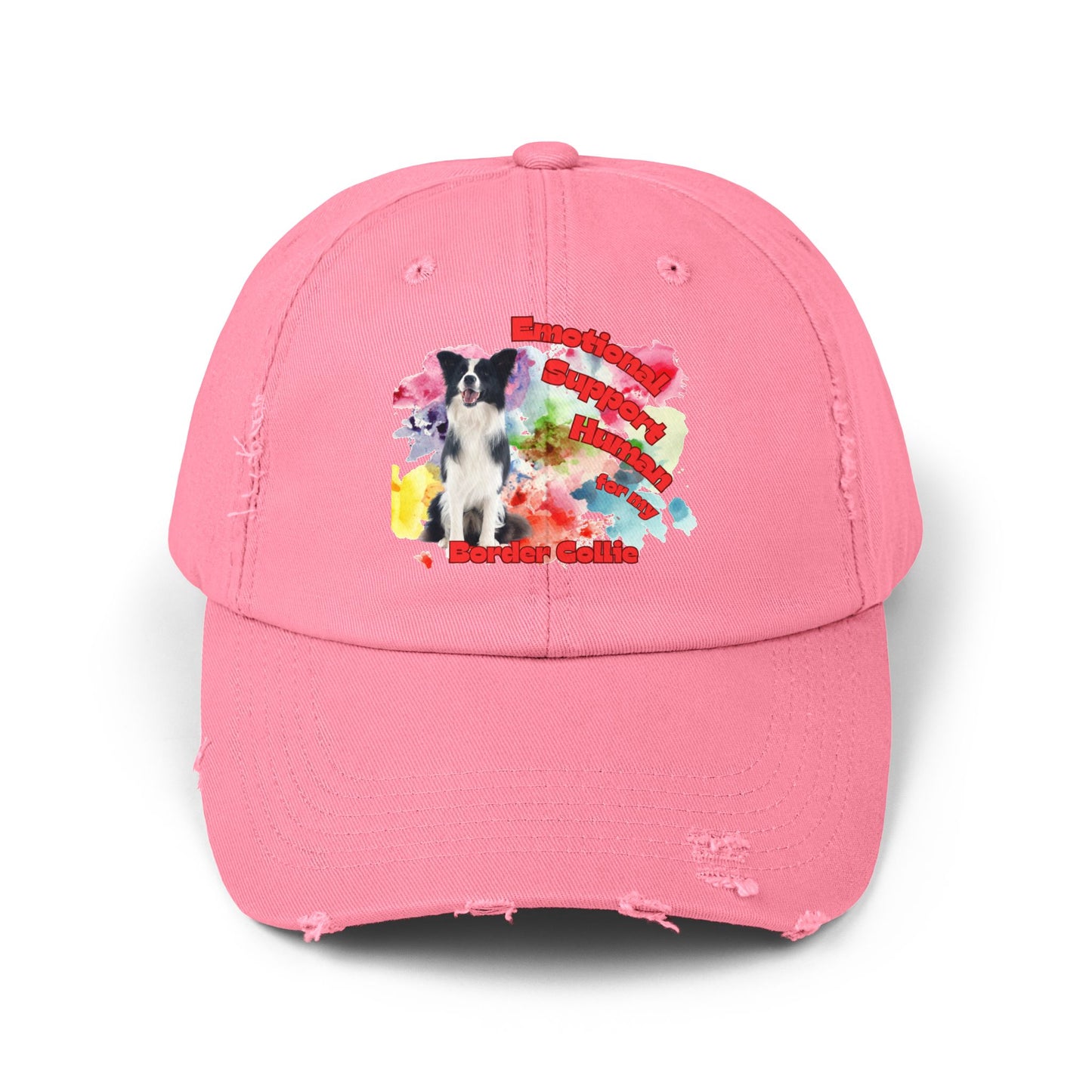 Emotional Support Human for my Border Collie Hat