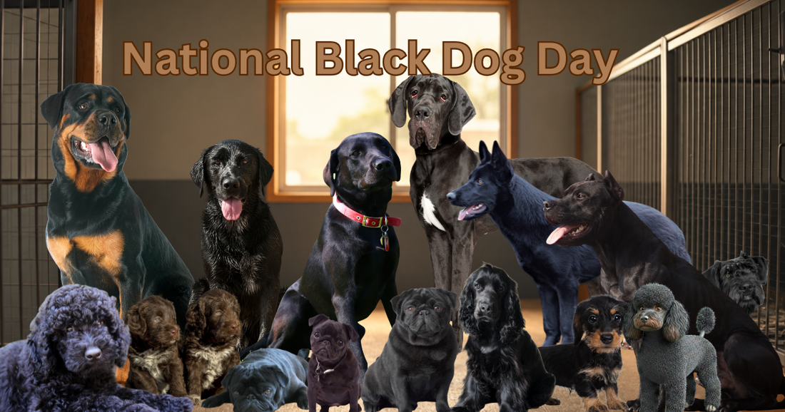 "Black Dog Syndrome"