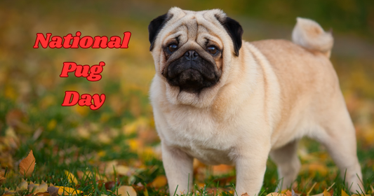 National Pug Day