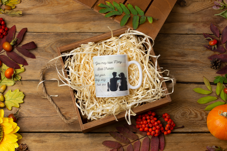 Other - No Specific Breed