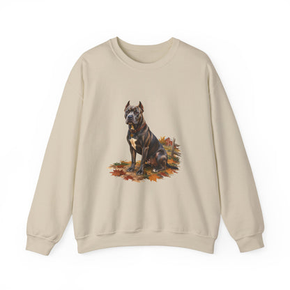 Pitbull Sweater Weather Sweatshirt