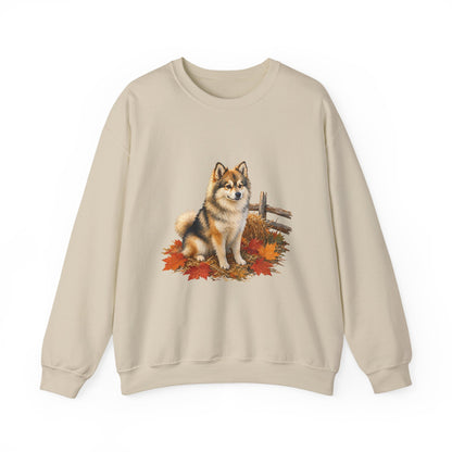 Pomsky Sweater Weather Sweatshirt