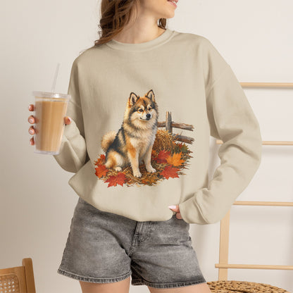 Pomsky Sweater Weather Sweatshirt