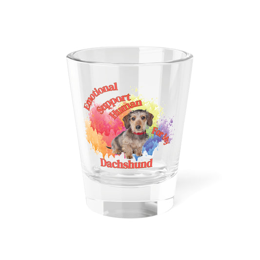 Emotional Support Human for my Dachshund wire haired shot glass