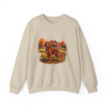 Irish Setter Sweater Weather Sweatshirt