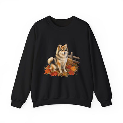 Pomsky Sweater Weather Sweatshirt