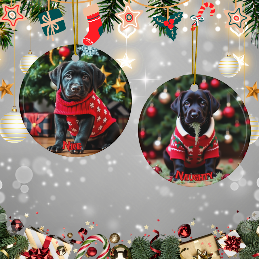 Black Labrador Retriever Naughty or Nice Dual Sided Christmas Ornament