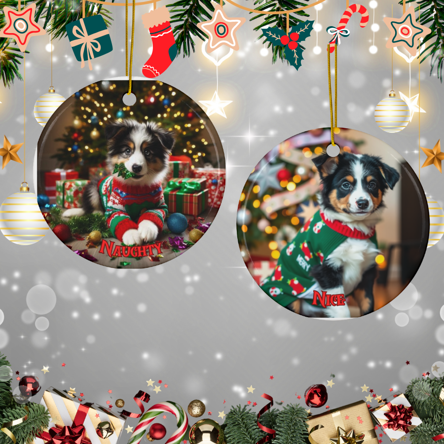 Border Collie Naughty or Nice Dual Sided Christmas Ornament