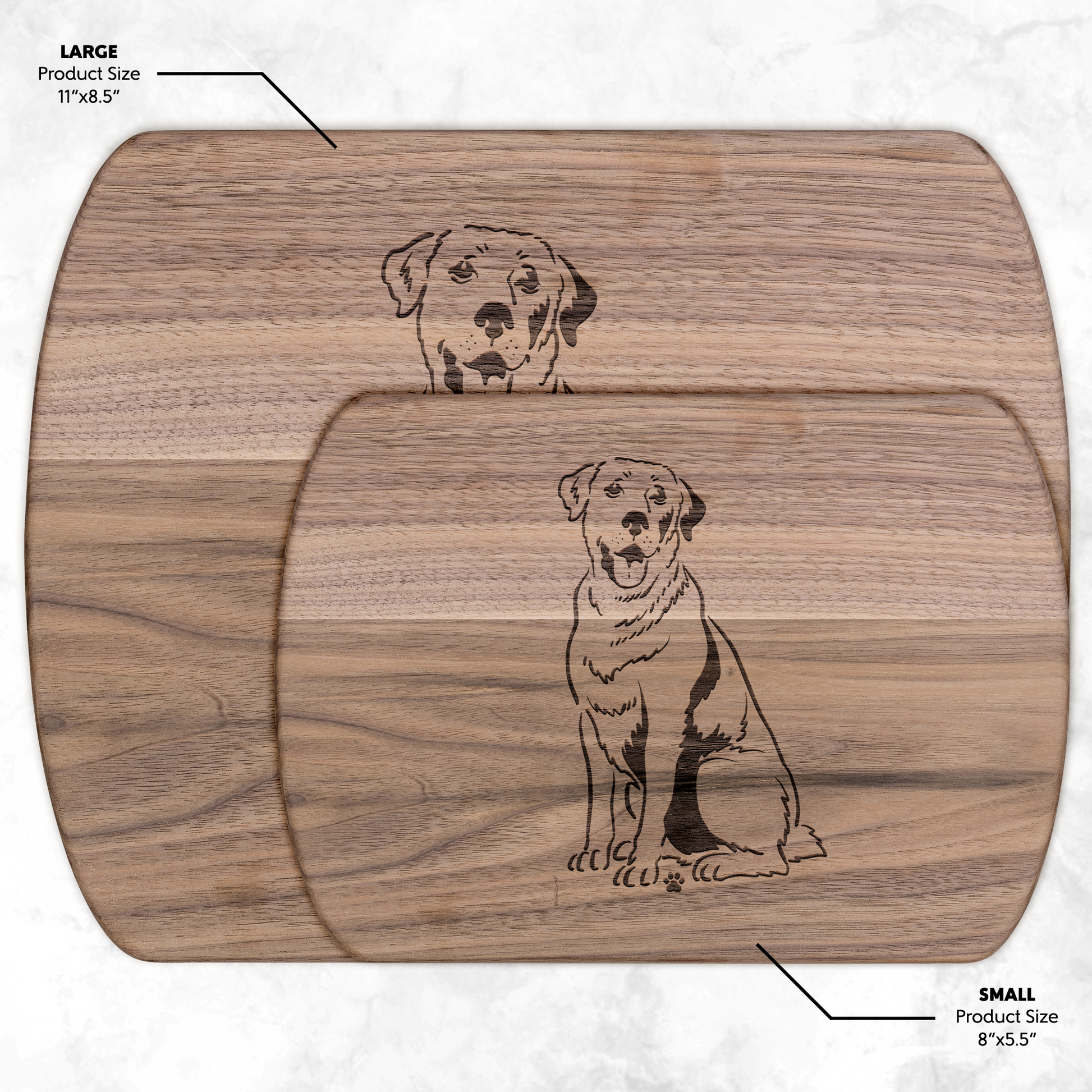 Labrador_Retriever_Dark_H_Size_Options_Mockup.png_16050956