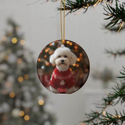 Bichon Frise Naughty or Nice Christmas Ornament set