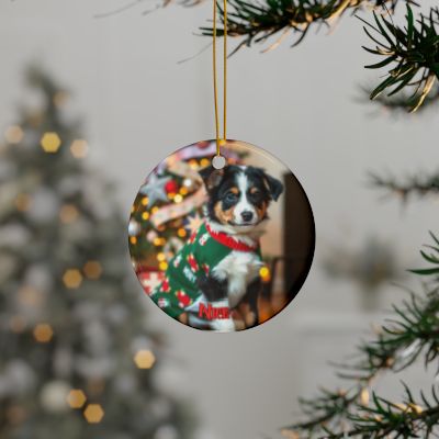 Border Collie Naughty or Nice Christmas Ornament