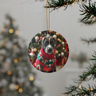 Great Dane Naughty or Nice Christmas Ornament set