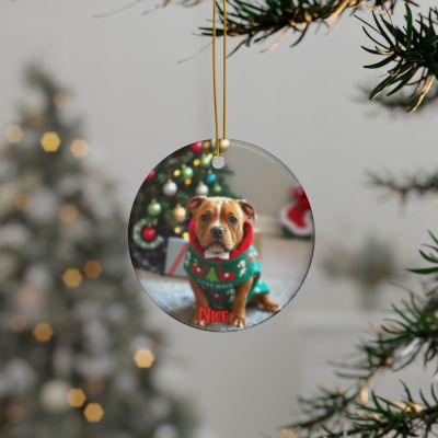 Pitbull Naughty or Nice Christmas Ornament set