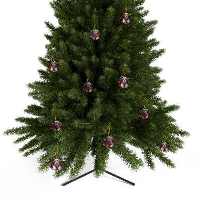 Shih Tzu Naughty or Nice Christmas Ornament set